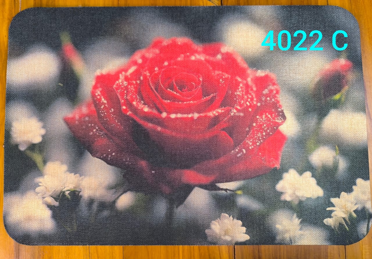 Anti-Slip Floor Mats – 40x60 cm | 4022