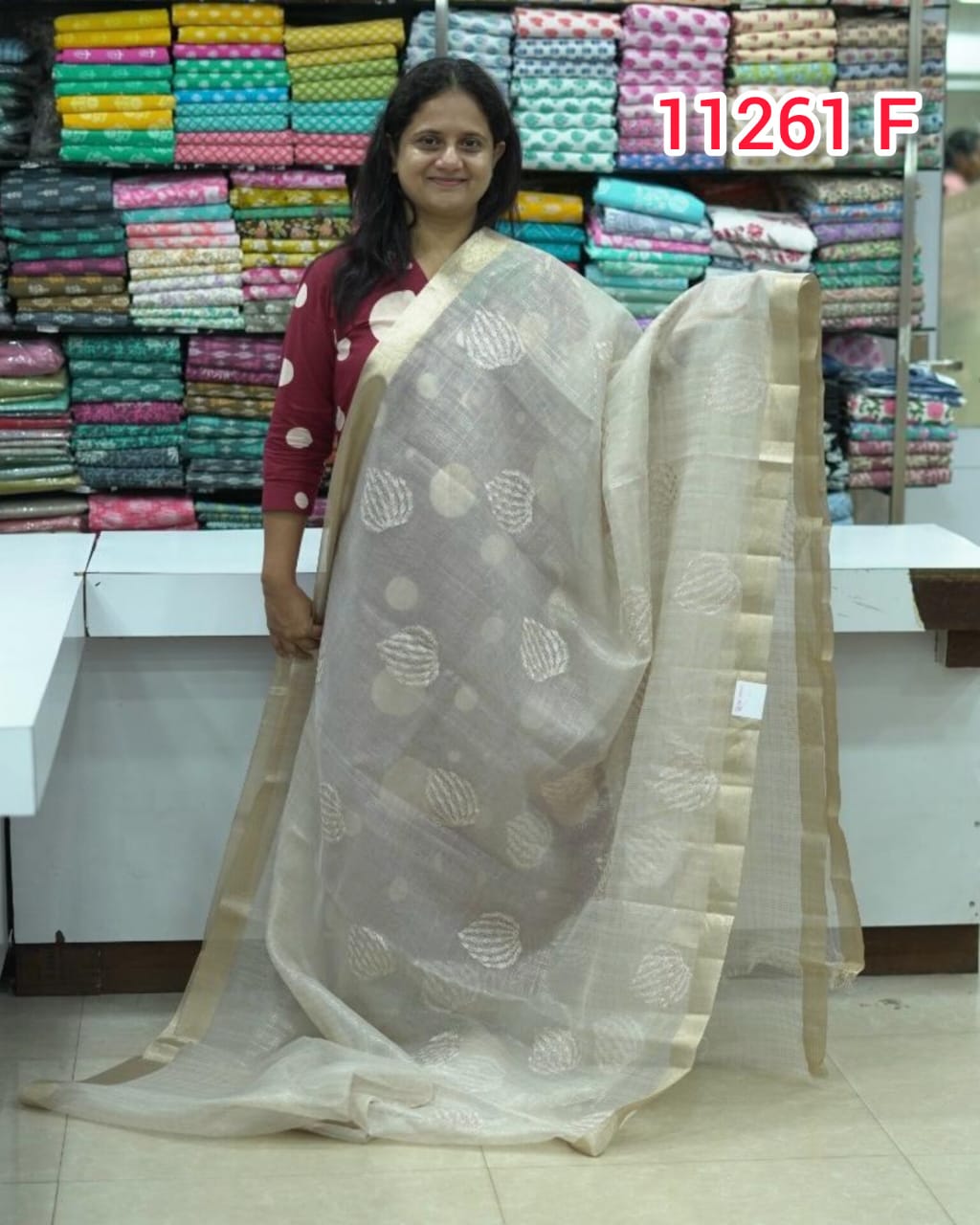 Organza Saree with Embroidery Work 11261