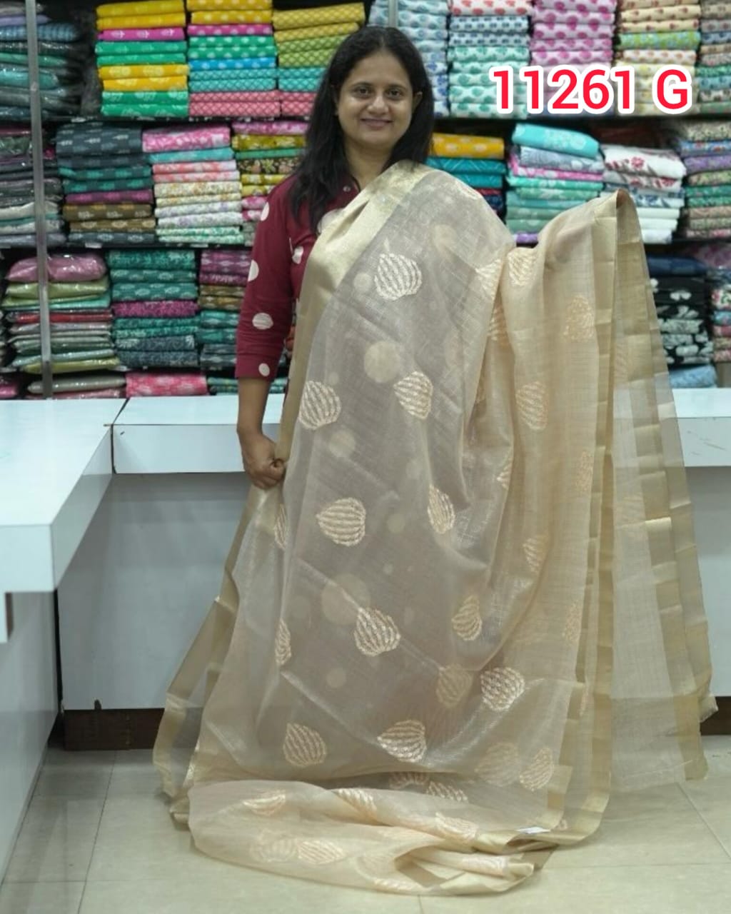 Organza Saree with Embroidery Work 11261