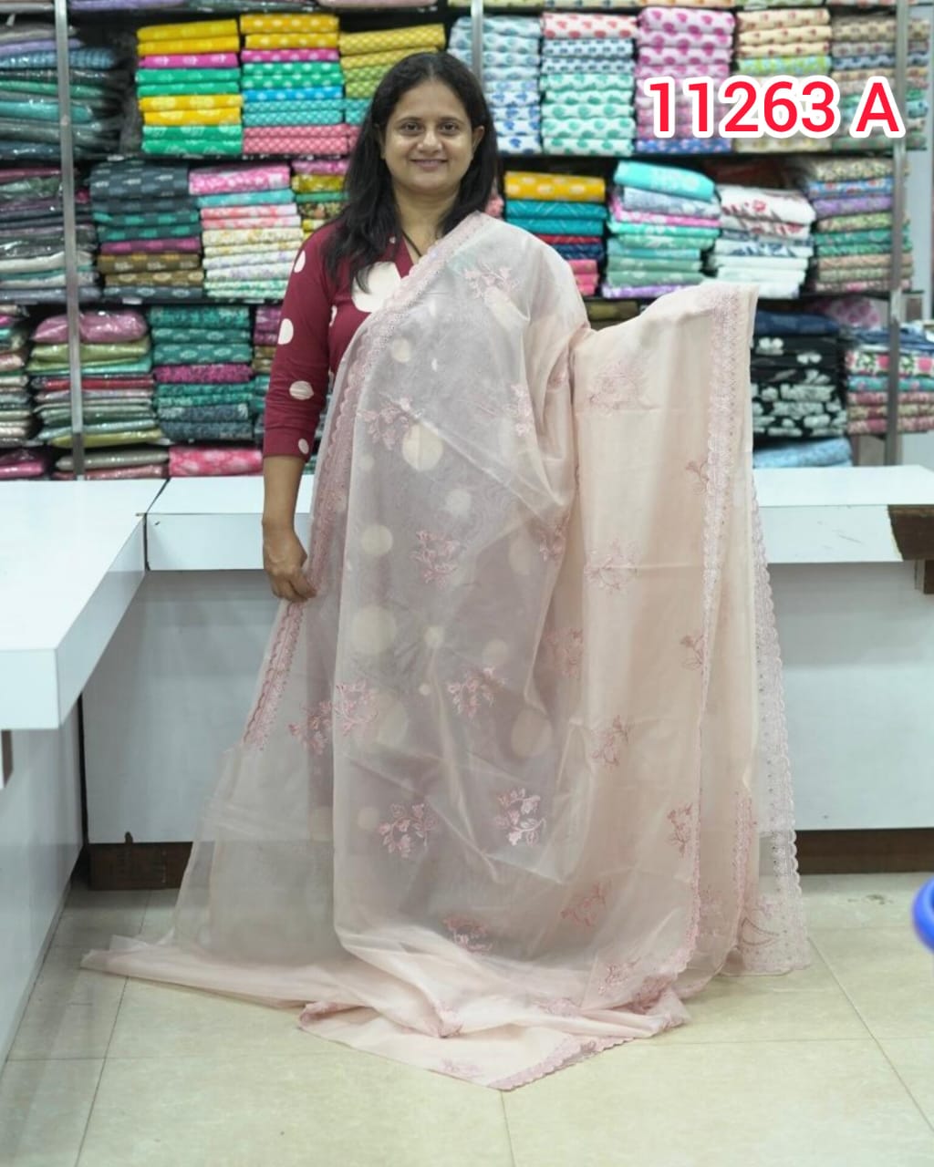 Organza Saree wth Embroidery Work 11263